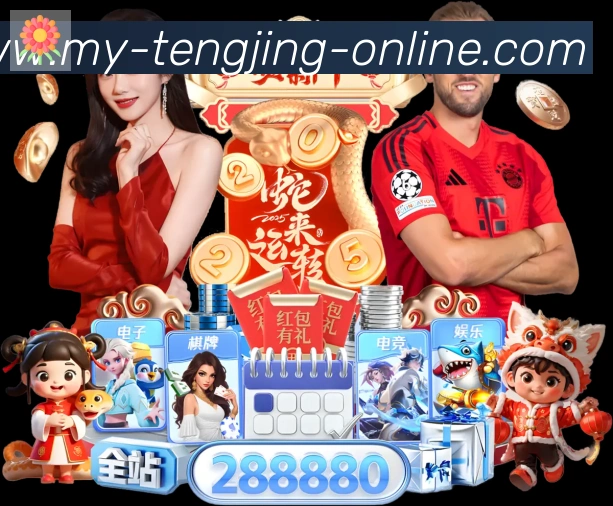体育数据展示
